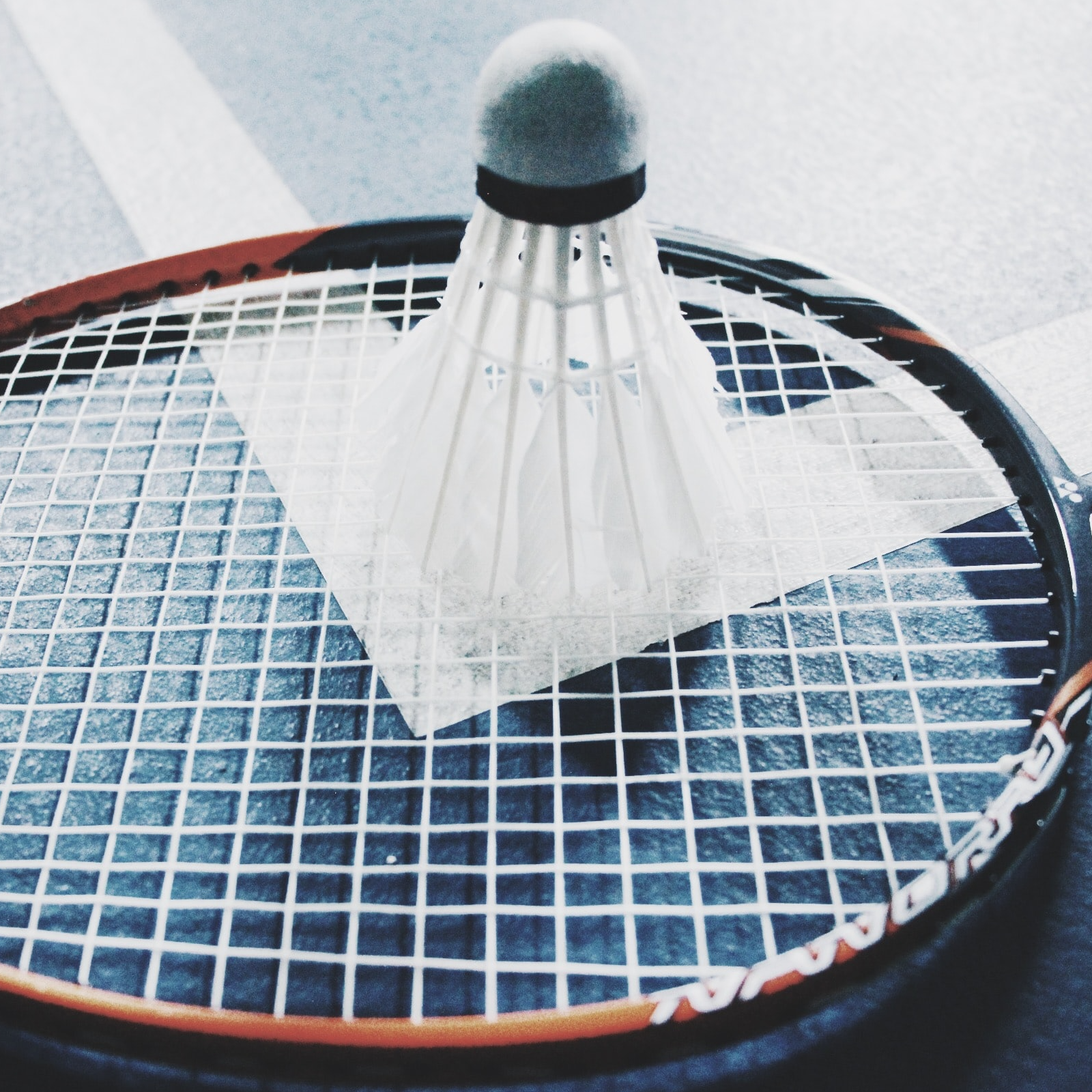 picture of a badminton birdie