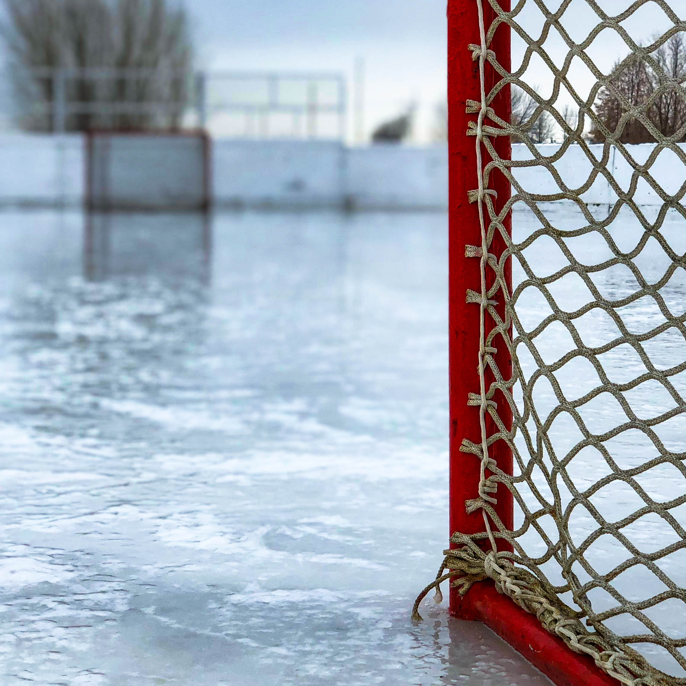 picture of a hockey net