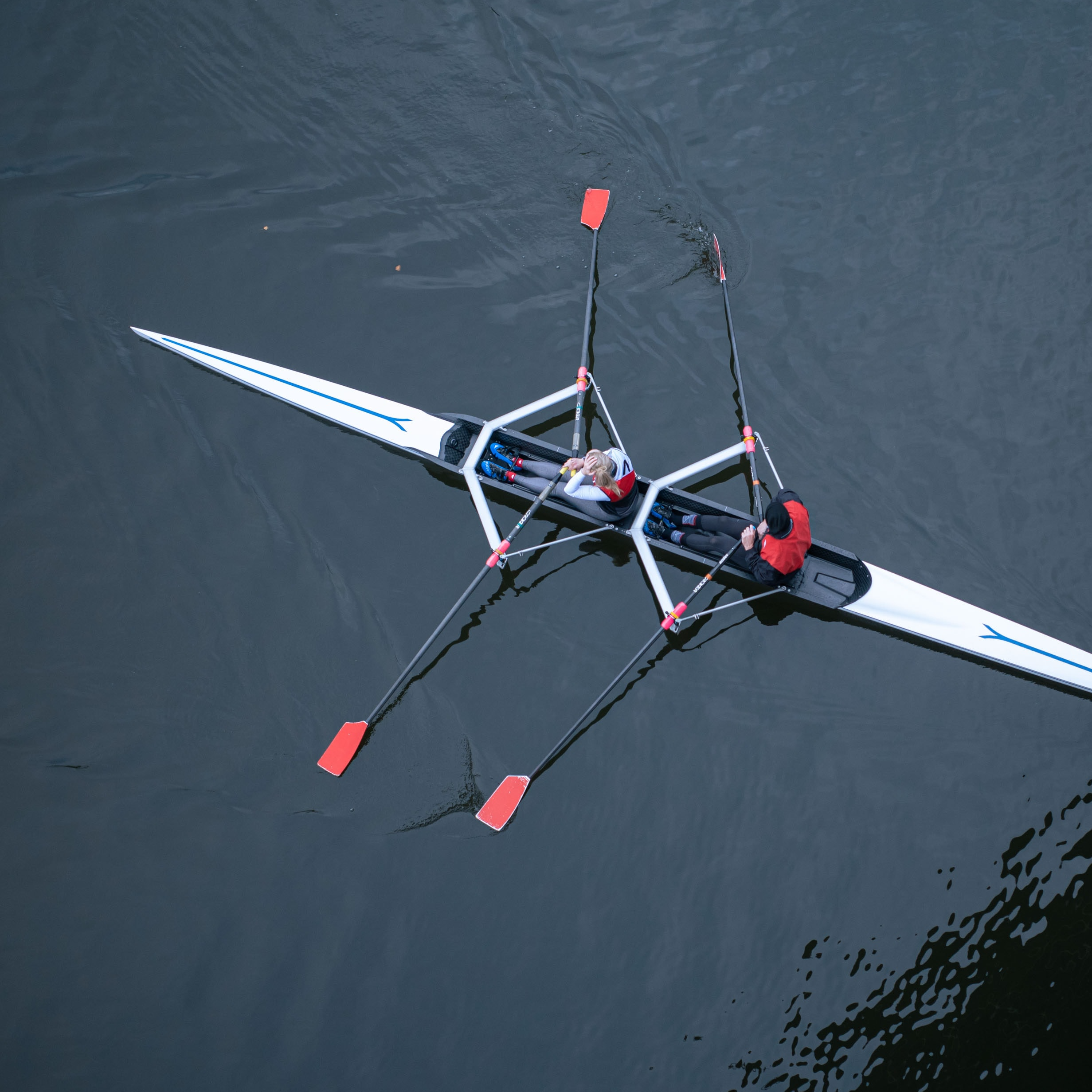 picture of people rowing