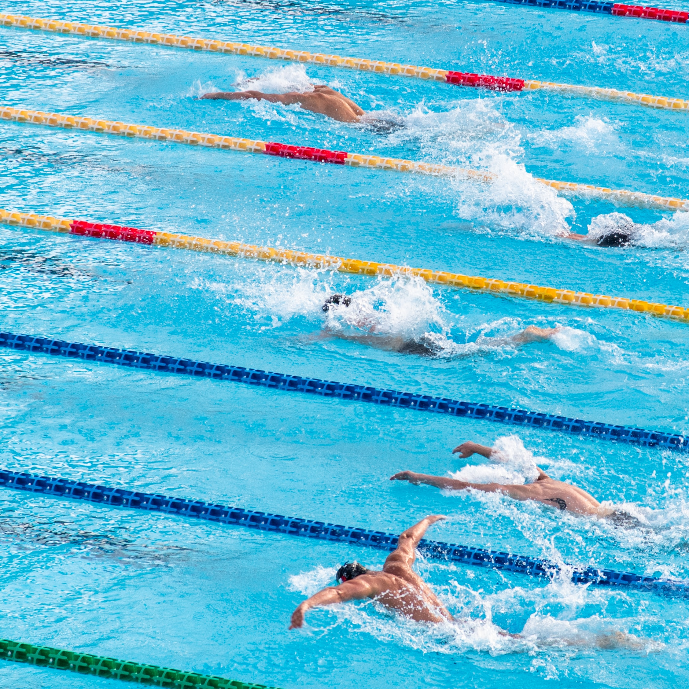 picture of people swimming