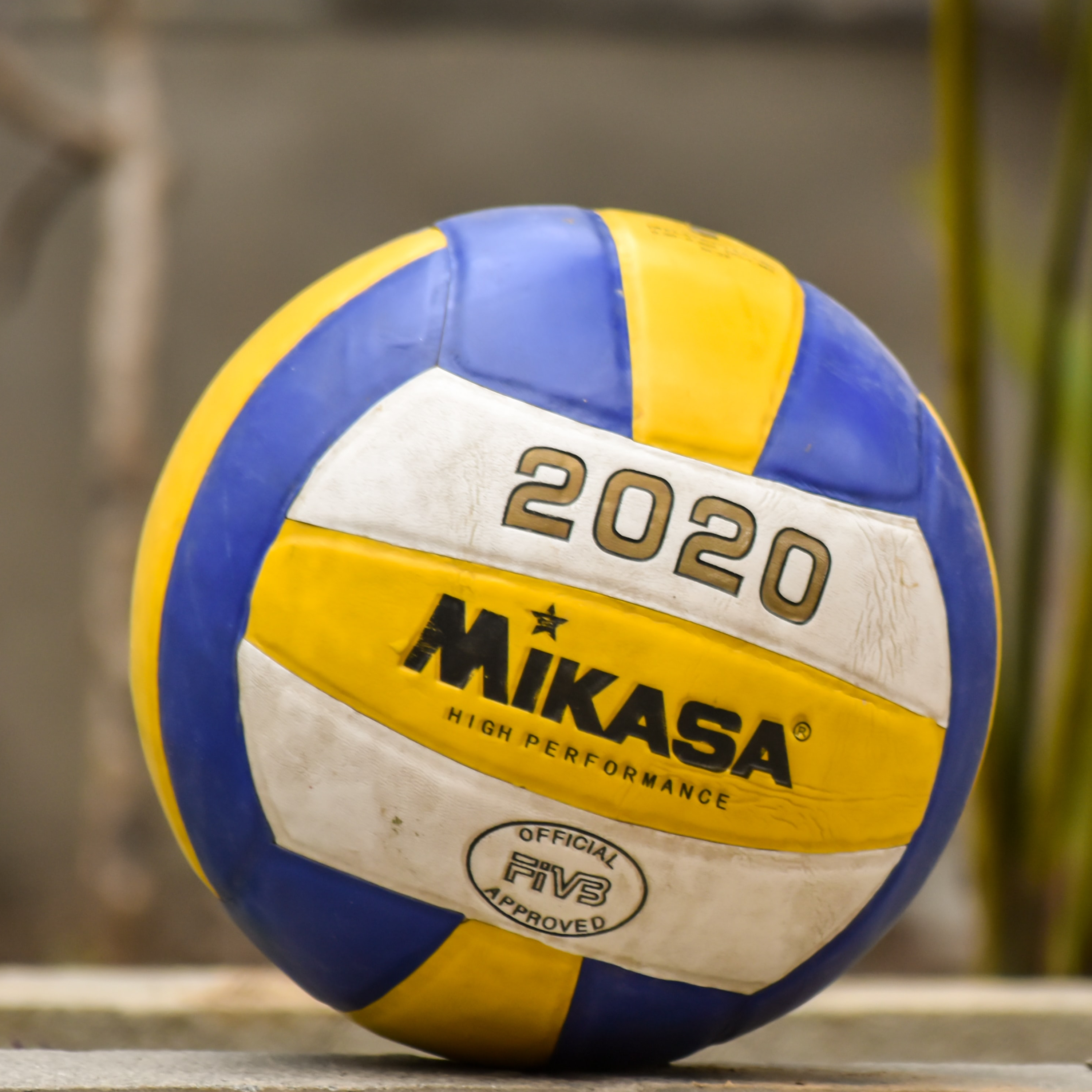 picture of a volleyball